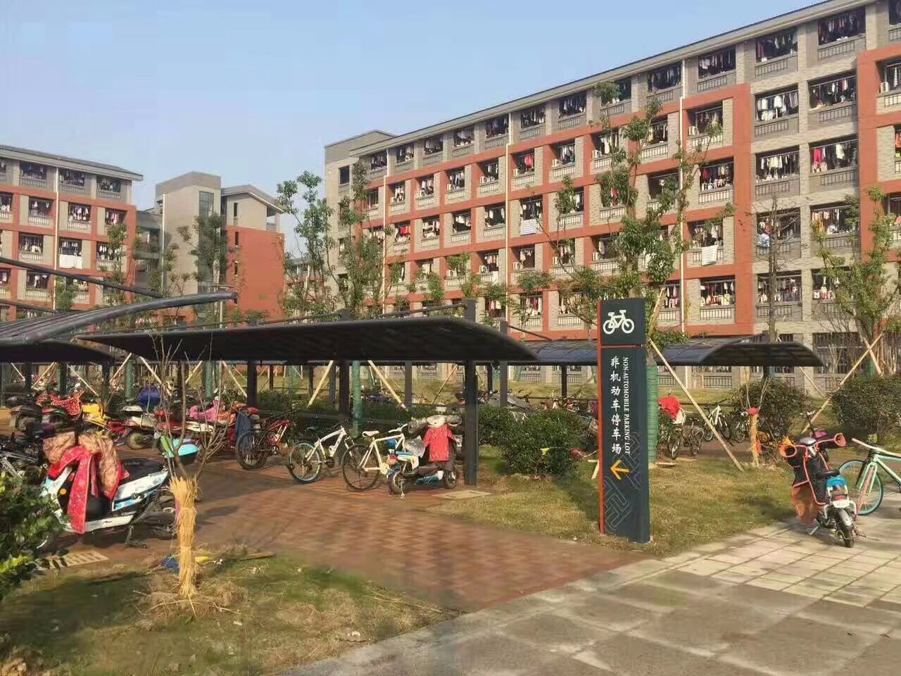 小區建停車棚，綠化用地和車棚的占地起了沖突。