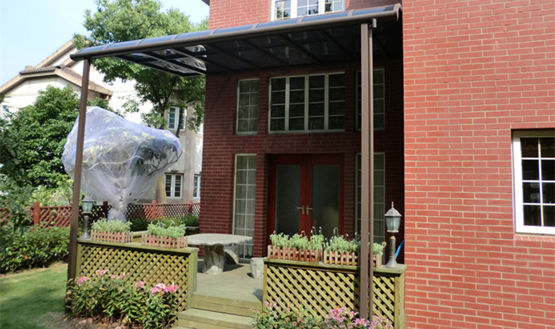 正青春，正能量——記至尊卡爾營銷團隊